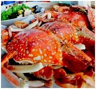 See the Sun Seafood Restaurant : ҹëЫѹ տ Сٴ